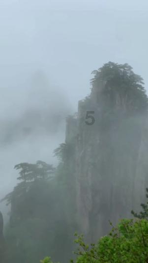 清洗羊肚方法游戏画面
